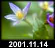 2001.11.14