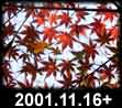 2001.11.16