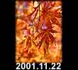 2001.11.22