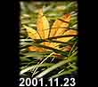 2001.11.23