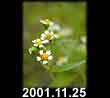 2001.11.25