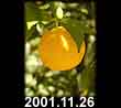 2001.11.26