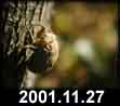 2001.11.27