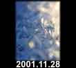 2001.11.28