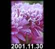 2001.11.30