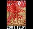 2001.12.01
