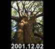 2001.12.02