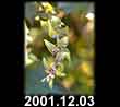 2001.12.03
