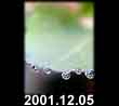 2001.12.05