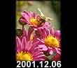 2001.12.06