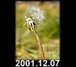 2001.12.07