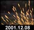 2001.12.08