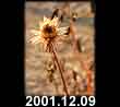 2001.12.09