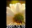 2001.12.10