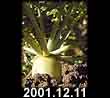 2001.12.11