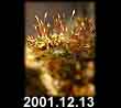 2001.12.13