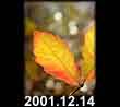 2001.12.14