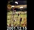2001.12.15