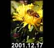 2001.12.17
