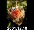 2001.12.18