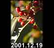 2001.12.19