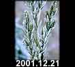2001.12.21