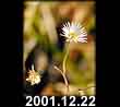2001.12.22