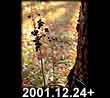 2001.12.24