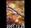2001.12.25