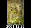 2001.12.26
