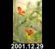 2001.12.29