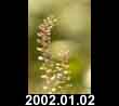 2002.01.02