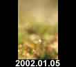 2002.01.05