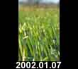 2002.01.07
