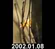 2002.01.08