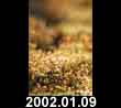 2002.01.09