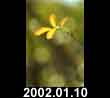 2002.01.10
