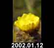 2002.01.12