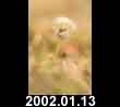2002.01.13