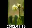 2002.01.15
