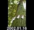 2002.01.16