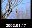 2002.01.17