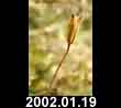 2002.01.19
