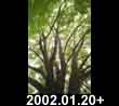 2002.01.20