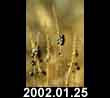 2002.01.25