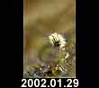2002.01.29