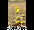 2002.02.02