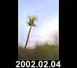 2002.02.04