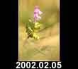 2002.02.05
