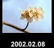 2002.02.08